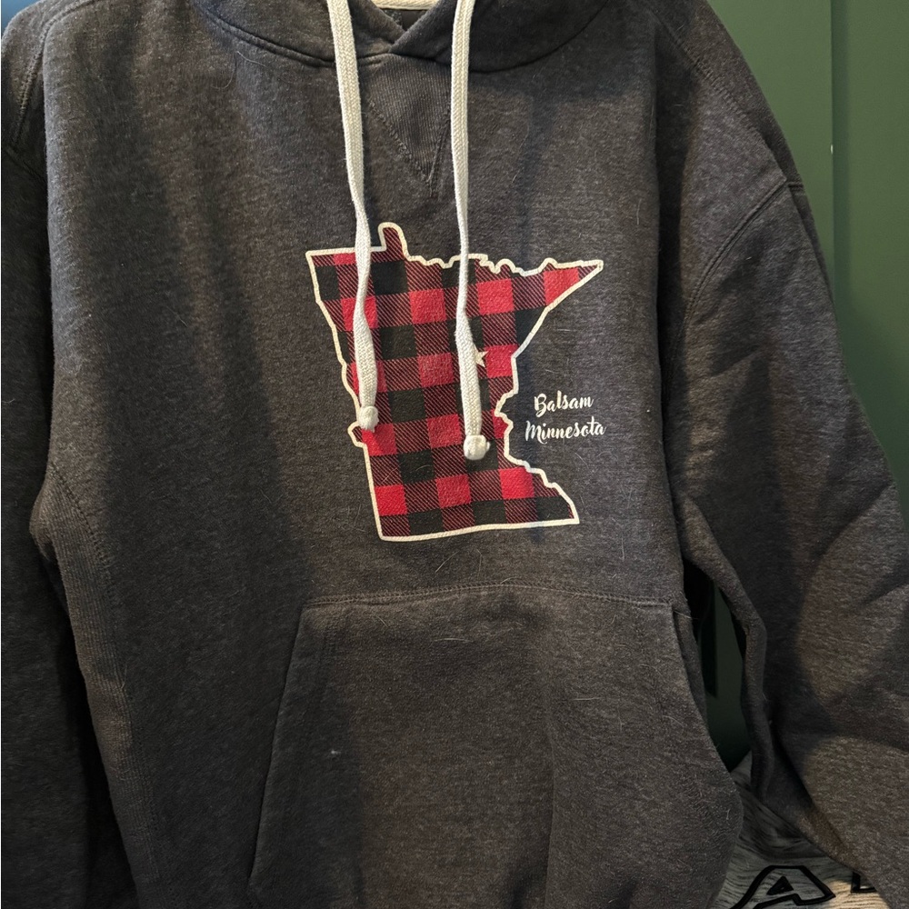 Gray Minnesota Hoodie